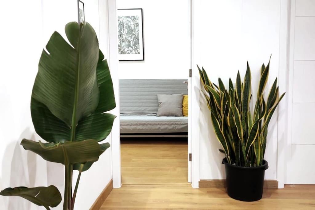 Tamadaba House Apartment
